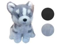 Husky pluszowy 25cm mix. Wydawca: Czapska. SmakLiter.pl Opakowanie Husky pluszowy 25cm mix
