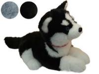 Husky pluszowy leżący 35cm mix. Wydawca: Czapska. SmakLiter.pl Opakowanie Husky pluszowy leżący 35cm mix