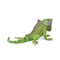 Iguana. Wydawca: Collecta. SmakLiter.pl Opakowanie Iguana