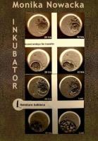 Inkubator. Autor: MONIKA NOWACKA. SmakLiter.pl Okładka książki Inkubator