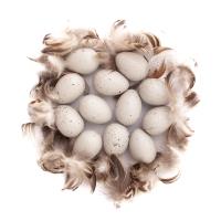 Opakowanie Jajka przepiórcze i piórka beżowe