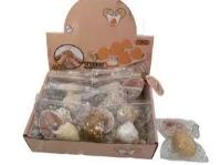 Jajko 6x3,5cm mix. Wydawca: Czapska. SmakLiter.pl Opakowanie Jajko 6x3,5cm mix