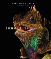 Jungle Spirits. Autor: Ziegler Christian, Dent Daisy. SmakLiter.pl Okładka książki Jungle Spirits