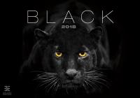 Opakowanie Kalendarz 2018 czarny ex