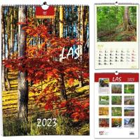 Opakowanie Kalendarz 2022 13 Plansz B3 - Las