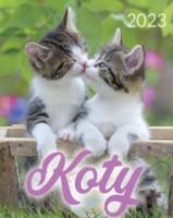 Opakowanie Kalendarz 2023 B4 Koty ARTSEZON