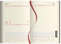 Opakowanie Kalendarz 2023 B5 Dzienny SK0-6