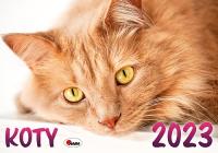 Kalendarz 2023 Koty KA2. Wydawca: AWM kalendarze. SmakLiter.pl Opakowanie Kalendarz 2023 Koty KA2