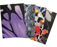 Opakowanie Kalendarz 2023 książkowy 15x21 DTP Wings mix