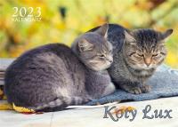 Opakowanie Kalendarz 2023 ścienny Lux Koty
