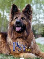 Opakowanie Kalendarz 2023 Ścienny Psy AVANTI