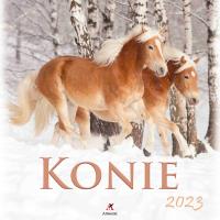Opakowanie Kalendarz 2023 Wieloplanszowy Konie ARTSEZON