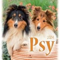 Opakowanie Kalendarz 2024 Psy