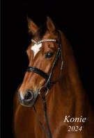 Okładka książki Kalendarz 2024 Ścienny dwustronny Konie