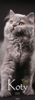 Opakowanie Kalendarz 2024 Ścieny Koty