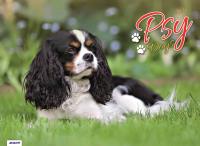 Okładka książki Kalendarz 2024 Ścieny Psy