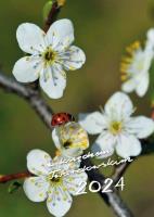 Opakowanie Kalendarz 2024 z ks. Twardowskim - biedronka