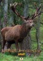 Kalendarz 2025 A2 ścienny Leśne Uroczyska. Autor: Pan Kalendarzyk. SmakLiter.pl Okładka książki Kalendarz 2025 A2 ścienny Leśne Uroczyska