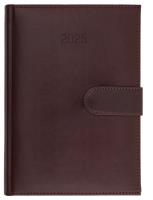 Opakowanie Kalendarz 2025 A4 dzienny Nebraska magnes brązowy