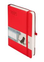 Okładka książki Kalendarz 2025 B6 Minimalizm DNS czerwony