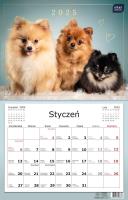 Opakowanie Kalendarz 2025 jednodzielny 32x50cm Psy