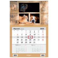 Opakowanie Kalendarz 2025 Jednodzielny Psy i kociak