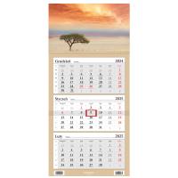 Opakowanie Kalendarz 2025 LUX Trójdzielny Sawanna