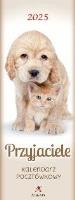 Opakowanie Kalendarz 2025 pocztówkowy Przyjaciele biały