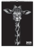 Opakowanie Kalendarz 2025 ścienny A3 Wild TOP2000