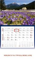 Opakowanie Kalendarz 2025 ścienny jednodzielny Tatry