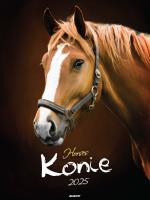 Opakowanie Kalendarz 2025 ścienny Konie