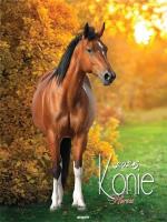 Opakowanie Kalendarz 2025 ścienny Konie