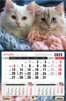 Kalendarz 2025 Trójdzielny jednodzielny Kotki. Autor: Pan Kalendarzyk. SmakLiter.pl Okładka książki Kalendarz 2025 Trójdzielny jednodzielny Kotki