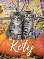 Opakowanie Kalendarz 2025 wieloplanszowy B4 Koty