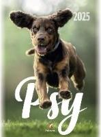 Opakowanie Kalendarz 2025 wieloplanszowy B4 Psy