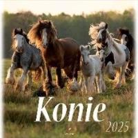 Opakowanie Kalendarz 2025 wieloplanszowy Konie