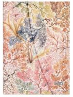 Opakowanie Kalendarz Paperblanks 2023 Anemone Midi Tygodniowy