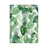 Opakowanie Kalendarz tygodniowy 2023 Zielone kaktusy ALBI