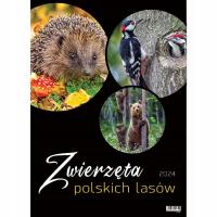 Opakowanie Kalendarz wieloplanszowy 2024 duży ścienny Zwierzę