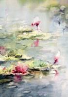 Opakowanie Karnet 12x18 cm B-BJ 202 387 + koperta Lilia wodna