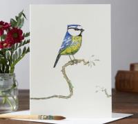 Opakowanie Karnet A047 B6 + koperta Ptak modraszka