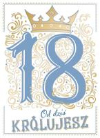 Opakowanie Karnet A5 18 urodziny blue