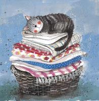 Opakowanie Karnet AC329 Kot na koszu z praniem