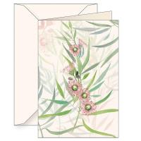 Opakowanie Karnet B6 + koperta 6123 Eukaliptus kamaldulski