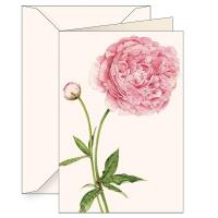 Opakowanie Karnet B6 + koperta 6136 Piwonia chińska 2