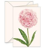 Opakowanie Karnet B6 + koperta 6141 Piwonia chińska