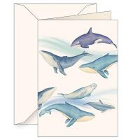 Opakowanie Karnet B6 + koperta 6144 Ssaki morskie