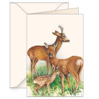 Opakowanie Karnet B6 koperta 7509 Jelonki