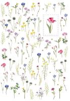 Opakowanie Karnet B6 + koperta MO5083 Kwiaty