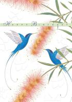 Opakowanie Karnet B6 + koperta MO8135X1 Urodziny Kolibry